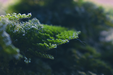 Similar image 22321069