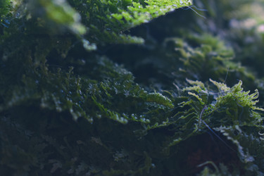 Similar image 22321070