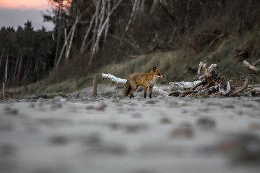 Similar image 22323473