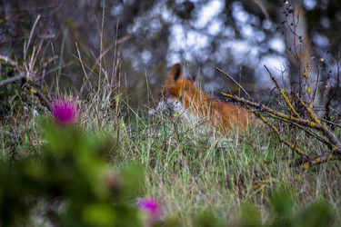 Similar image 22323474