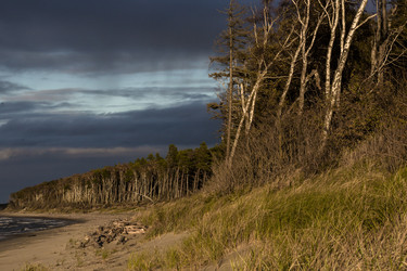 Similar image 22323475