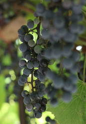 Similar image 22319916