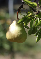 Similar image 22319917