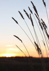 Similar image 22319918