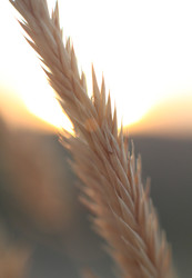 Similar image 22319919