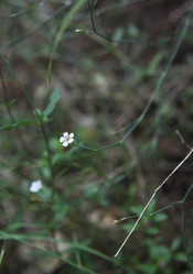 Similar image 22319920