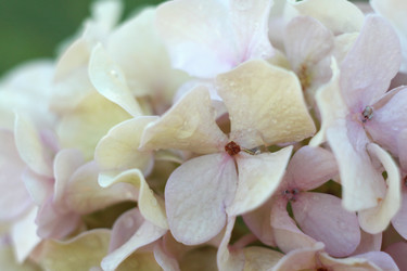 Similar image 22319921