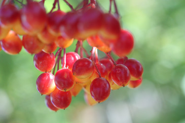 Similar image 22319922