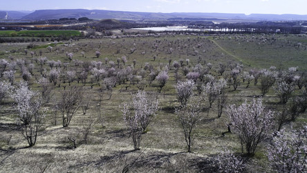 Similar image 22329367