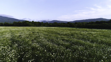 Similar image 22329797