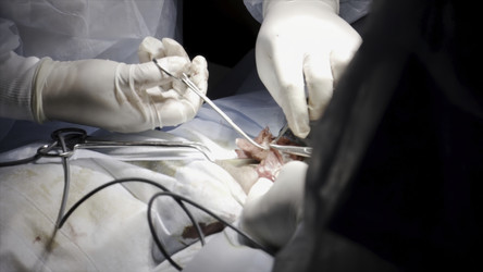 Similar image 22331106