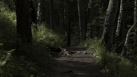 Similar image 22331561