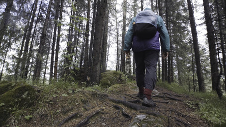 Similar image 22331562