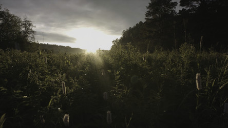 Similar image 22331563