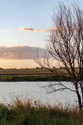 Similar image 22321027