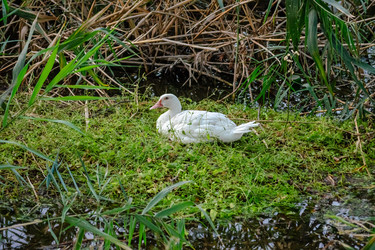 Similar image 22321028