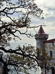 Similar image 22321029