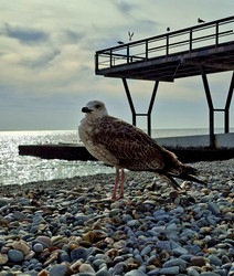 Similar image 22323401