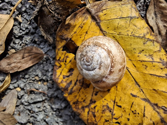 Similar image 22323403