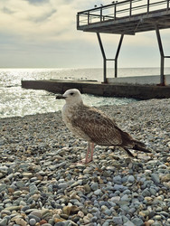 Similar image 22323405