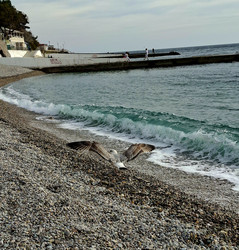 Similar image 22323406