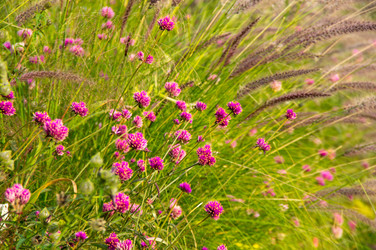 Similar image 22320208