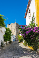 Similar image 22320226