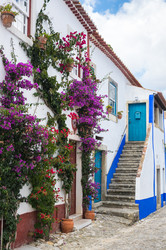 Similar image 22320229