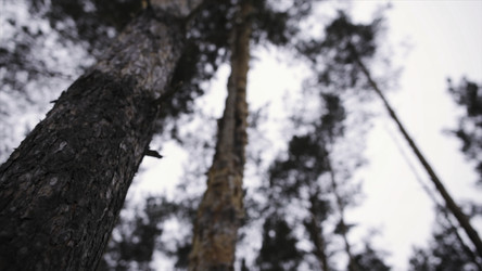 Similar image 22325762