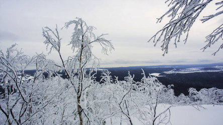 Similar image 22325778