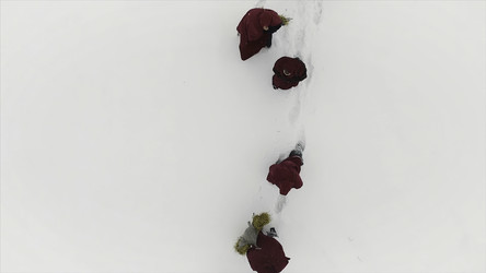 Similar image 22325780