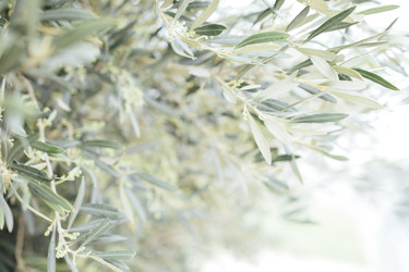 Similar image 22321402