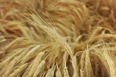 Similar image 22319943