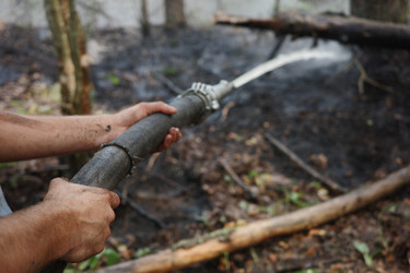 Similar image 22321032