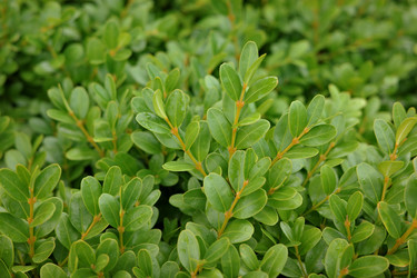 Similar image 22319944