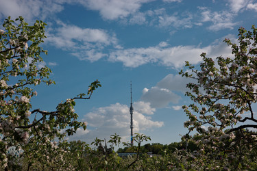 Similar image 22321034