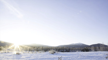 Similar image 22325789