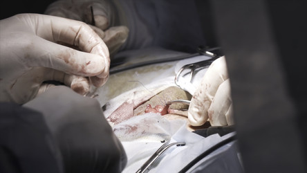 Similar image 22325807