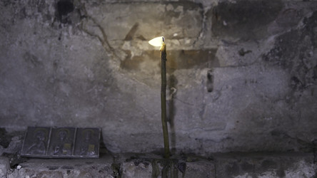 Similar image 22325906