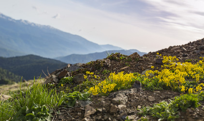 Similar image 22332169