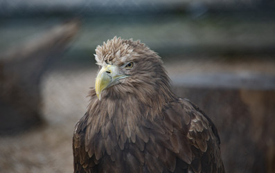 Similar image 22332171