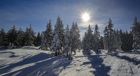 Similar image 22332177