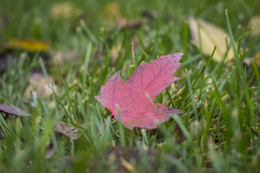 Similar image 22321075