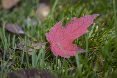 Similar image 22321077