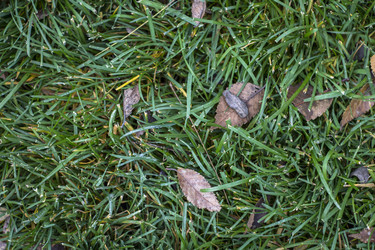 Similar image 22321078