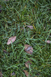 Similar image 22321079