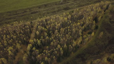 Similar image 22325823