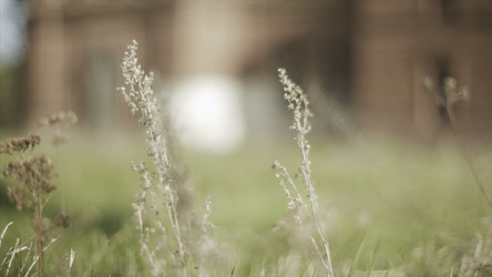 Similar image 22325828