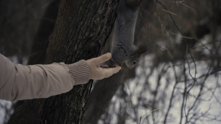 Similar image 22331110