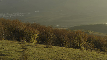 Similar image 22331113